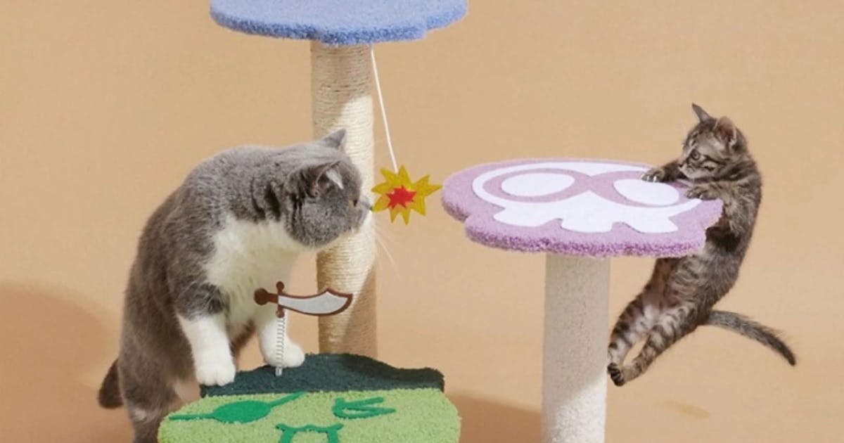 Discover Melbourne’s Premier Pet Store: PawPawUp