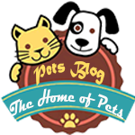 Pets Blog